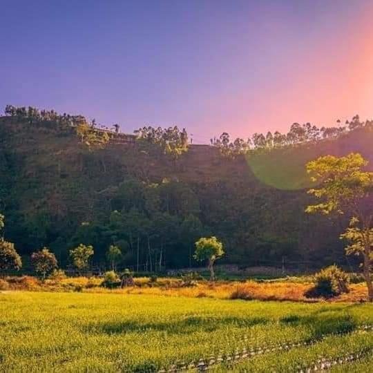 Pondok Bali Cottage Kintamani Dış mekan fotoğraf